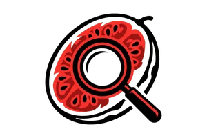 今日吃瓜 - 今日吃瓜与网友热议汇总 - 吃瓜社Logo